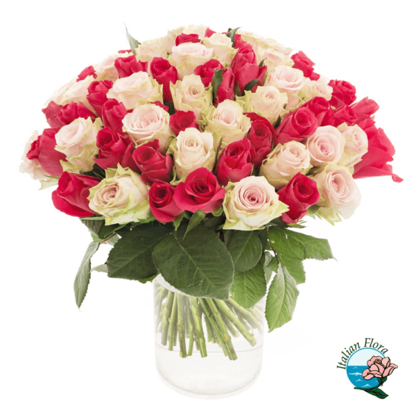 Bouquet of 50 mixed Pink and Red Roses